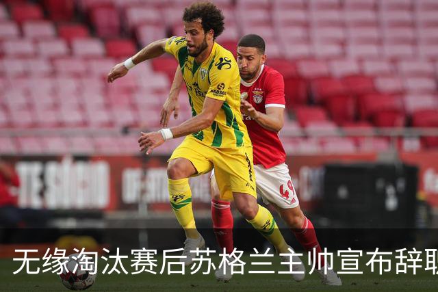 无缘淘汰赛后苏格兰主帅宣布辞职 执教七年出战三届大赛